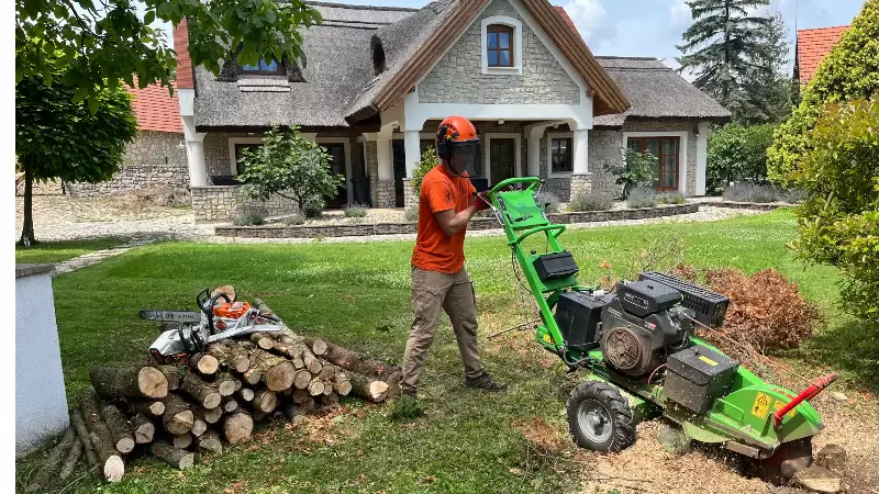 A Tamás-hegy árnyékában